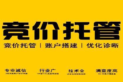 百度竞价包年推广策略深度解读与案例分析
